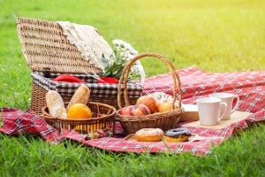 Lunch Picnic with Fun Activities